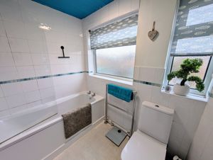 Photo 15- click for photo gallery